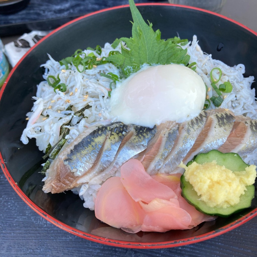 ユーザーが投稿した釜揚げしらす丼の写真 - 実際訪問したユーザーが直接撮影して投稿した海保魚介 / 海鮮料理大庄水産の写真