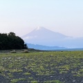 実際訪問したユーザーが直接撮影して投稿した三保景勝地 / 百選三保の松原の写真