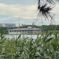 実際訪問したユーザーが直接撮影して投稿した秋津公園習志野市 谷津干潟自然観察センターの写真