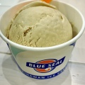 シングルアイス - 実際訪問したユーザーが直接撮影して投稿した鶴橋アイスクリームBLUE SEAL 大阪鶴橋店の写真のメニュー情報
