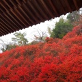 実際訪問したユーザーが直接撮影して投稿した萩尾寺呑山観音寺の写真