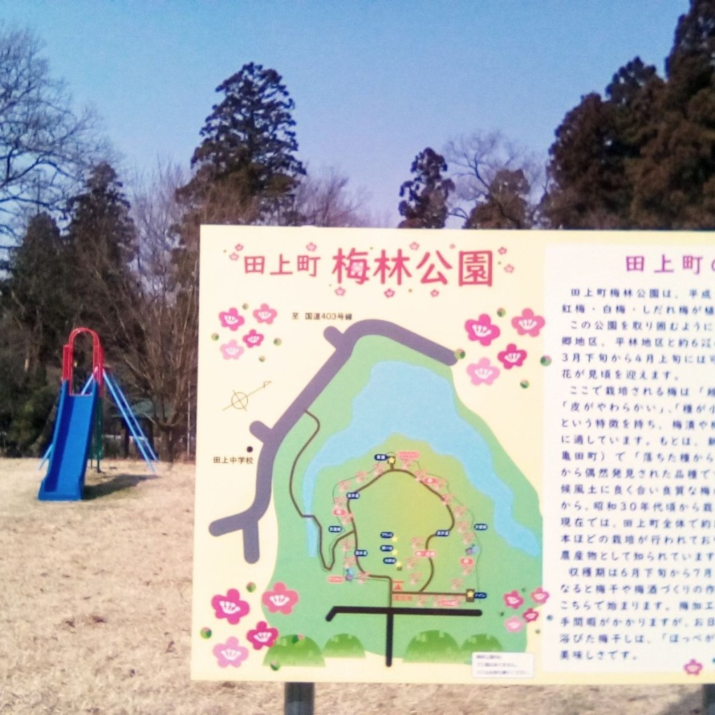 実際訪問したユーザーが直接撮影して投稿した田上公園田上町梅林公園の写真