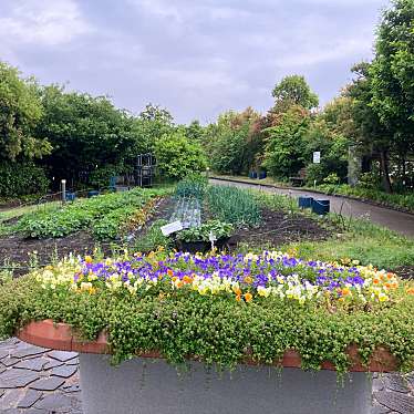 実際訪問したユーザーが直接撮影して投稿した大橋庭園目黒天空庭園の写真