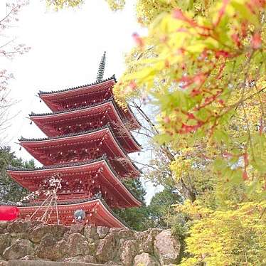 実際訪問したユーザーが直接撮影して投稿した五台山寺竹林寺の写真