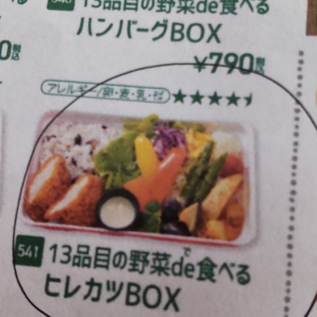 ユーザーが投稿した13品目の野菜de食べるヒレカツBOXの写真 - 実際訪問したユーザーが直接撮影して投稿した新琴似七条お弁当ベントス 新琴似店の写真