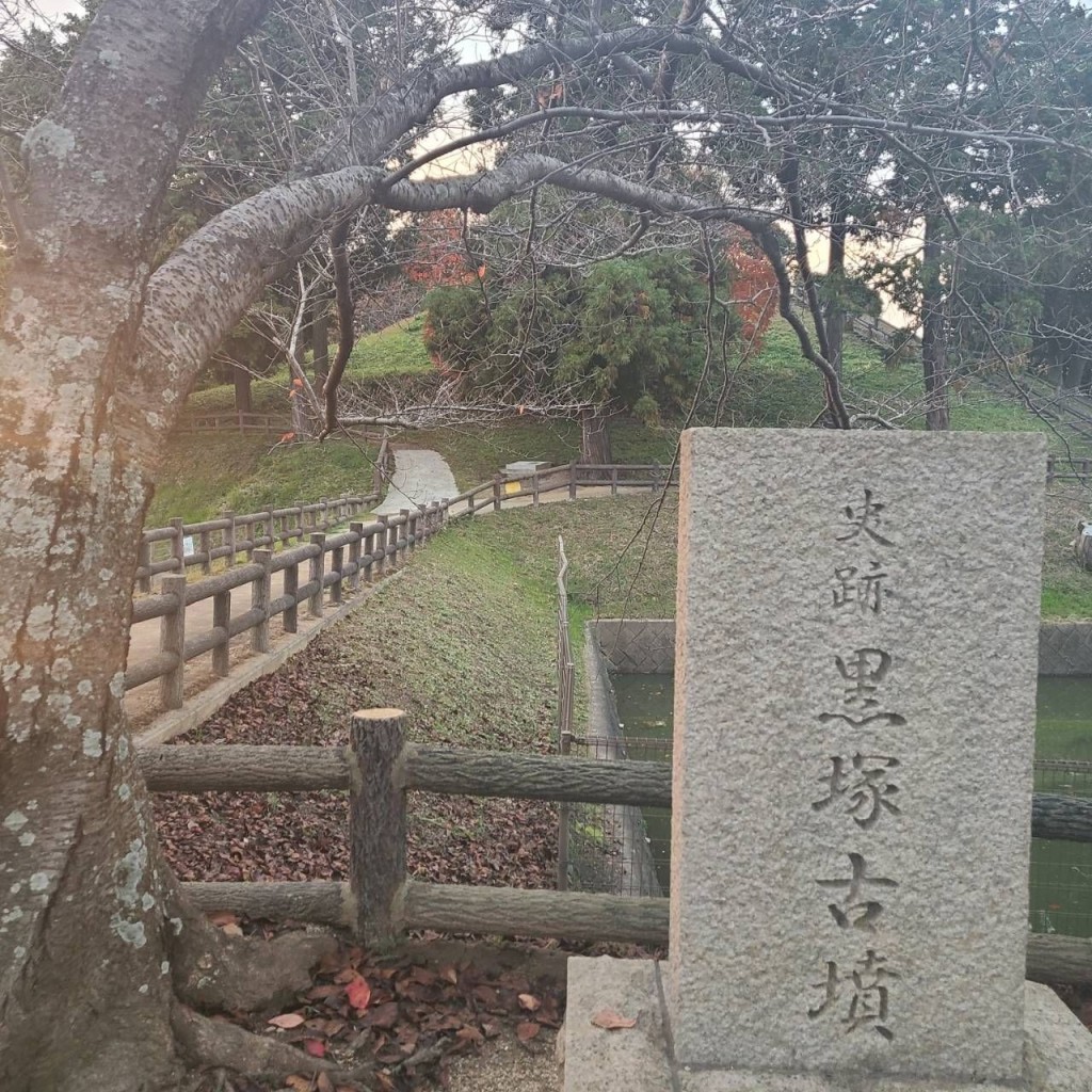 実際訪問したユーザーが直接撮影して投稿した柳本町古墳黒塚古墳の写真