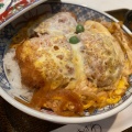 ヒレカツ丼 - 実際訪問したユーザーが直接撮影して投稿した七間町とんかつとんかつ おざわの写真のメニュー情報