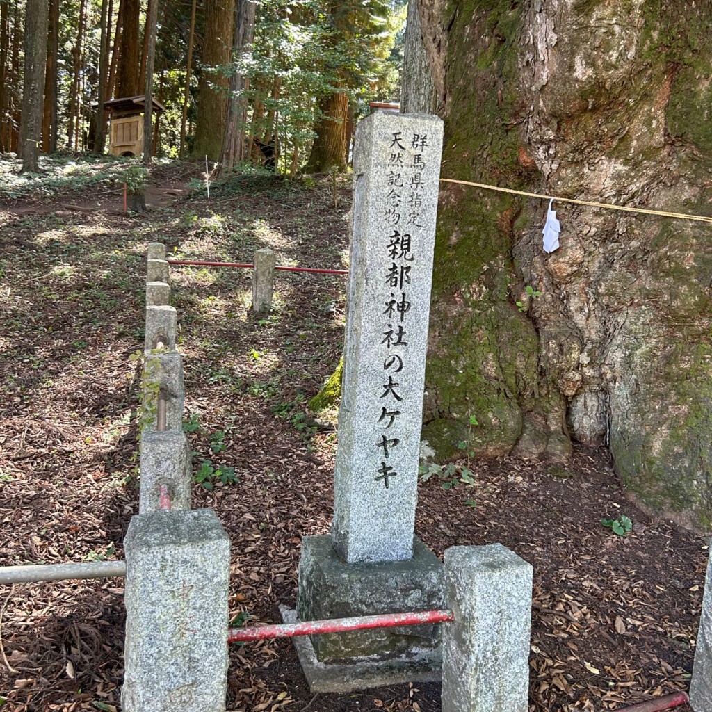 実際訪問したユーザーが直接撮影して投稿した五反田神社親都神社の写真