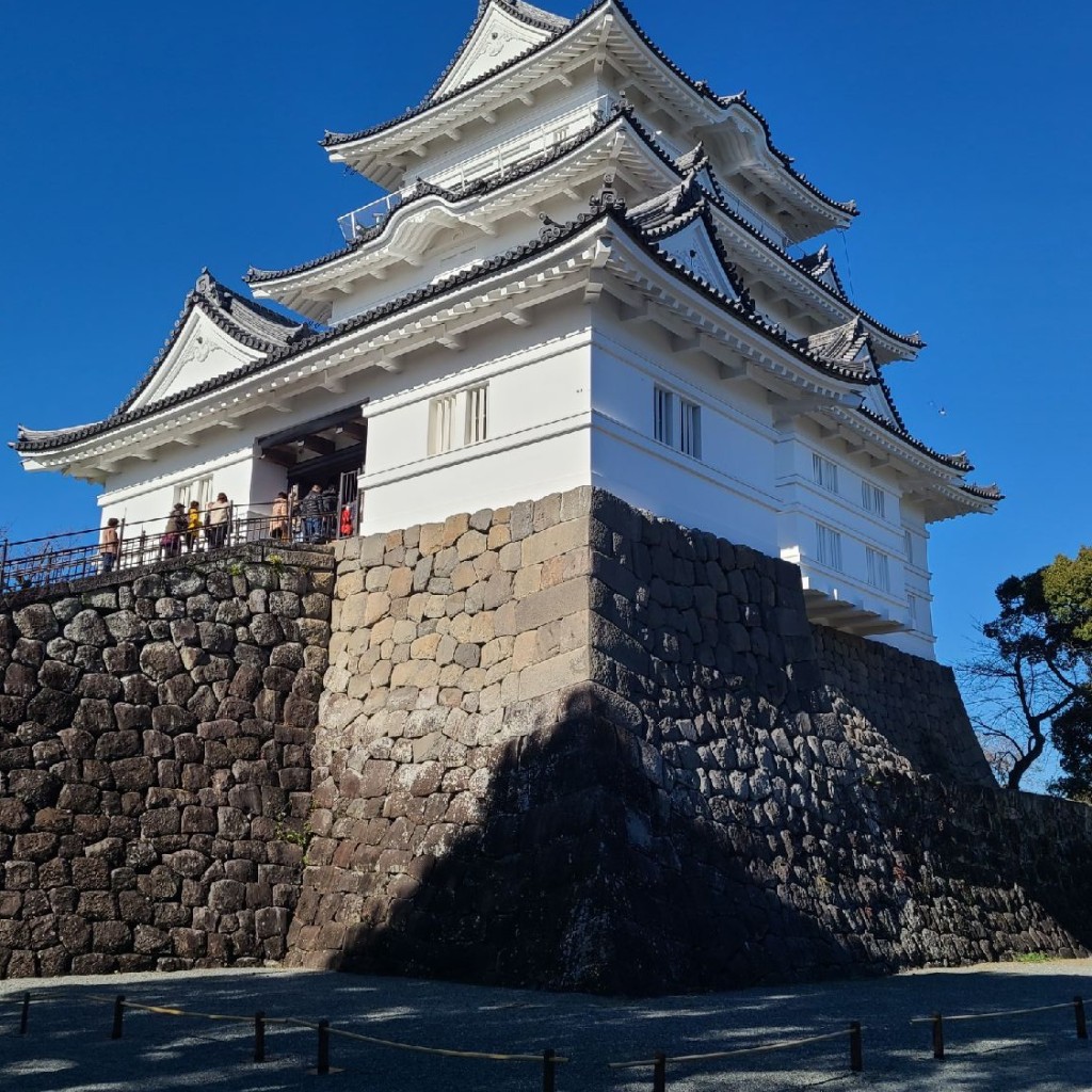 ありがとーまたどこかでさんが投稿した城内城 / 城跡のお店小田原城/オダワラジョウの写真