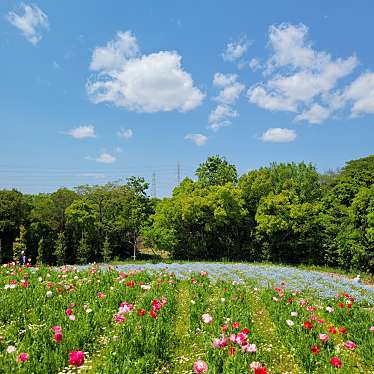 万博記念公園駅のundefinedに実際訪問訪問したユーザーunknownさんが新しく投稿した新着口コミの写真