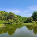 実際訪問したユーザーが直接撮影して投稿した白山植物園 / 樹木園小石川植物園の写真