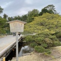 実際訪問したユーザーが直接撮影して投稿した兼六町庭園唐崎松の写真