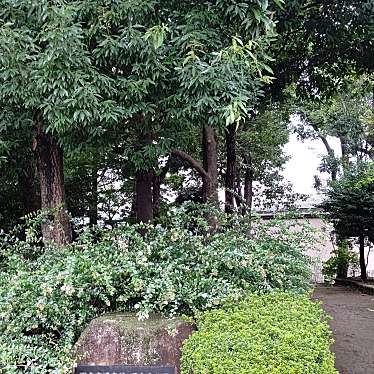 実際訪問したユーザーが直接撮影して投稿した上井草公園四宮森公園の写真
