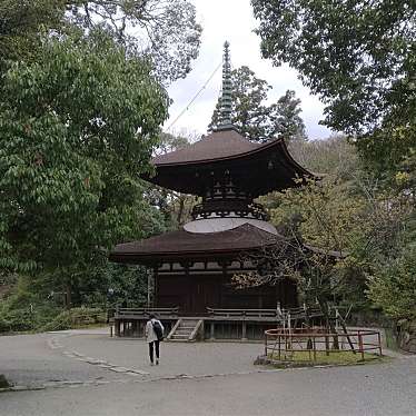 実際訪問したユーザーが直接撮影して投稿した石山寺寺多宝塔の写真