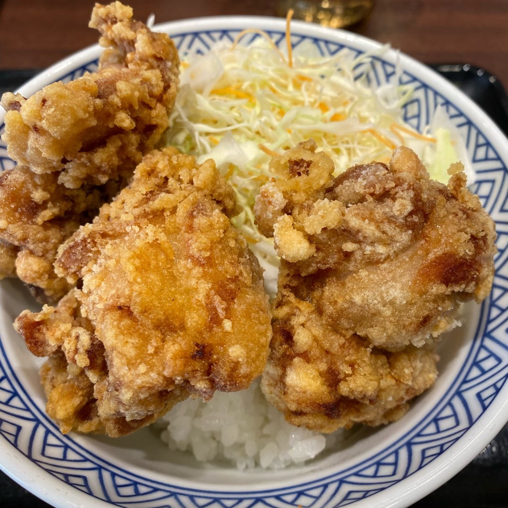 ユーザーが投稿したから揚丼の写真 - 実際訪問したユーザーが直接撮影して投稿した栄牛丼吉野家 大津通栄店の写真