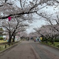 実際訪問したユーザーが直接撮影して投稿した千里万博公園イベントスペースお祭り広場の写真