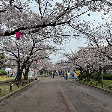 実際訪問したユーザーが直接撮影して投稿した千里万博公園イベントスペースお祭り広場の写真