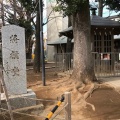 実際訪問したユーザーが直接撮影して投稿した千駄ヶ谷神社鳩森八幡神社の写真