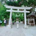 実際訪問したユーザーが直接撮影して投稿した坂ノ下神社御霊神社の写真