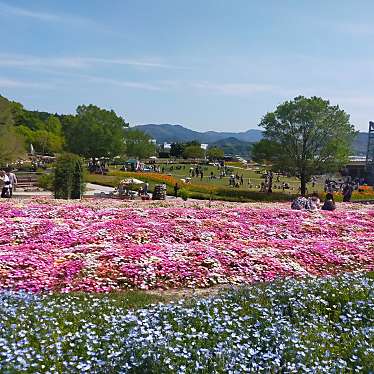 実際訪問したユーザーが直接撮影して投稿した新庄植物園 / 樹木園やまぐちフラワーランドの写真