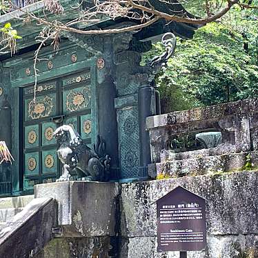 実際訪問したユーザーが直接撮影して投稿した山内地域名所日光東照宮 鋳抜門の写真