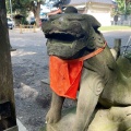 実際訪問したユーザーが直接撮影して投稿した三山神社二宮神社の写真