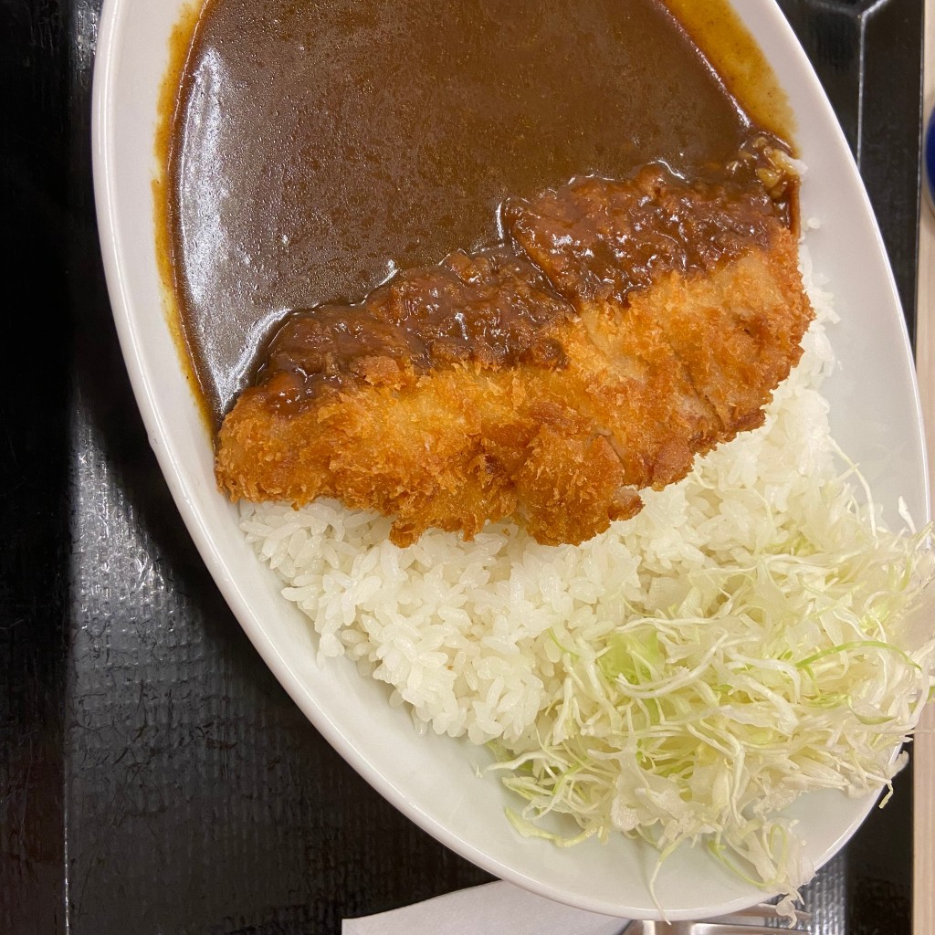 ユーザーが投稿したカツカレー(梅)の写真 - 実際訪問したユーザーが直接撮影して投稿した小雑賀とんかつかつや 和歌山小雑賀店の写真