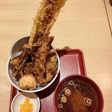 実際訪問したユーザーが直接撮影して投稿した下柳丼もの天麩羅 えびのや  イオンモール春日部店の写真