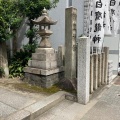実際訪問したユーザーが直接撮影して投稿した名駅南神社白鷹龍神の写真