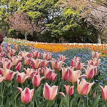 火の山公園のundefinedに実際訪問訪問したユーザーunknownさんが新しく投稿した新着口コミの写真