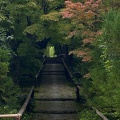 実際訪問したユーザーが直接撮影して投稿した鷹峯光悦町寺光悦寺の写真