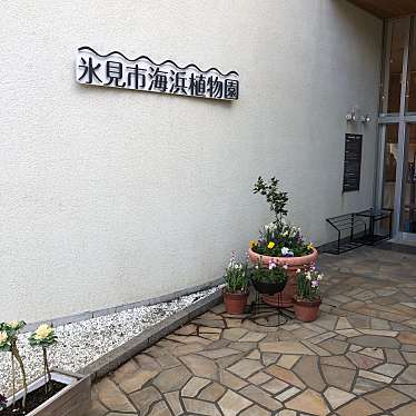 実際訪問したユーザーが直接撮影して投稿した柳田植物園 / 樹木園氷見市海浜植物園の写真