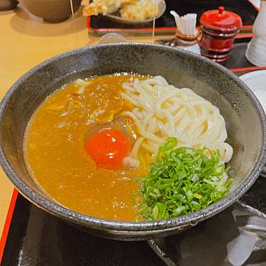 実際訪問したユーザーが直接撮影して投稿した玉津うどん東成麺家 うどん上々の写真