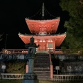 実際訪問したユーザーが直接撮影して投稿した嵯峨大沢町寺大覚寺の写真