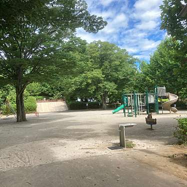 実際訪問したユーザーが直接撮影して投稿した松前台公園大山公園の写真