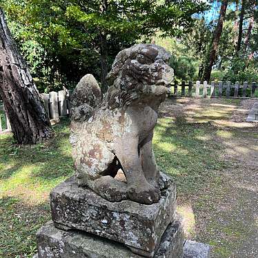 ここあちーずさんが投稿した文珠神社のお店天橋立神社/アマノハシダテジンジャの写真