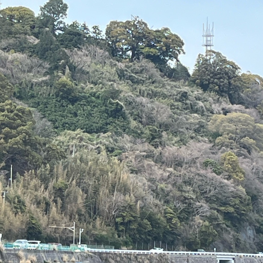 実際訪問したユーザーが直接撮影して投稿した江之浦港 / 灯台江之浦漁港の写真