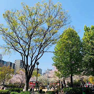 実際訪問したユーザーが直接撮影して投稿した糸屋町公園中大江公園の写真