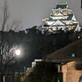 実際訪問したユーザーが直接撮影して投稿した泉町その他飲食店大阪城の写真