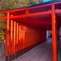 実際訪問したユーザーが直接撮影して投稿した犬山神社針綱神社の写真