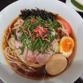 冷たいギャオス - 実際訪問したユーザーが直接撮影して投稿した新川七条ラーメン / つけ麺麺や hideの写真のメニュー情報