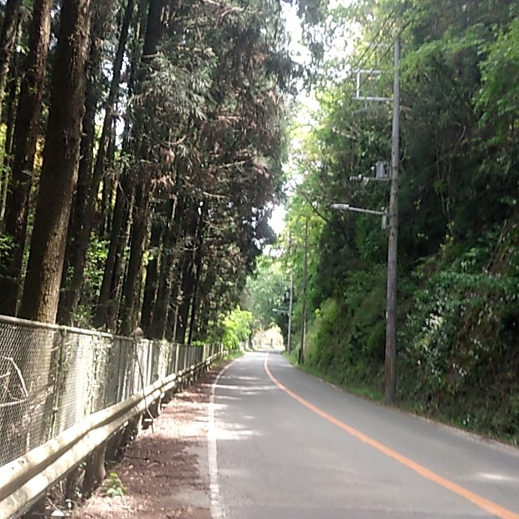 実際訪問したユーザーが直接撮影して投稿した松山町焼肉森林の写真