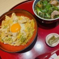 親子丼と鴨うどんセット - 実際訪問したユーザーが直接撮影して投稿した西池袋鶏料理八起庵 池袋東武百貨店の写真のメニュー情報