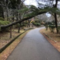 実際訪問したユーザーが直接撮影して投稿した高師公園茂原公園の写真