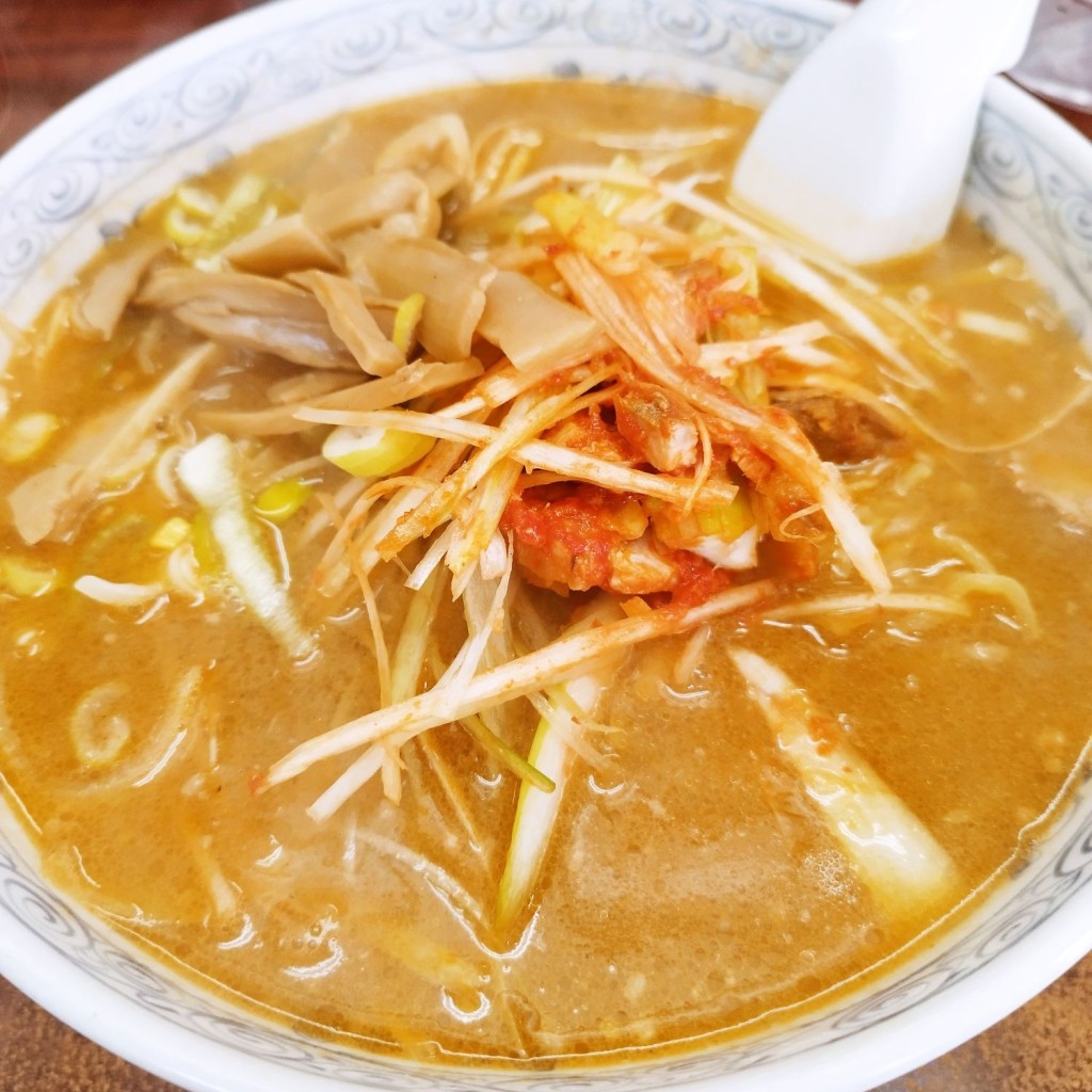 ユーザーが投稿したネギ味噌ラーメンの写真 - 実際訪問したユーザーが直接撮影して投稿した中田町ラーメン / つけ麺大宝ラーメンの写真