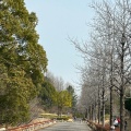 実際訪問したユーザーが直接撮影して投稿した大高町公園大高緑地の写真