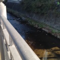 実際訪問したユーザーが直接撮影して投稿した河川大岡川の写真