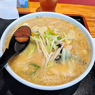 実際訪問したユーザーが直接撮影して投稿した富の中ラーメン / つけ麺村井家の写真