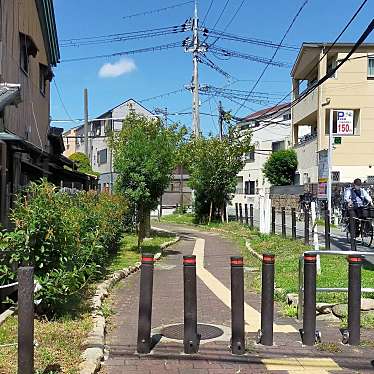 実際訪問したユーザーが直接撮影して投稿した桃町公園桃町緑道公園の写真