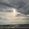 実際訪問したユーザーが直接撮影して投稿した千里浜町花のきれいなスポット千里浜海岸の写真